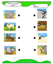 okul öncesi çocuklar için Sayı Sayma çalışma sayfaları